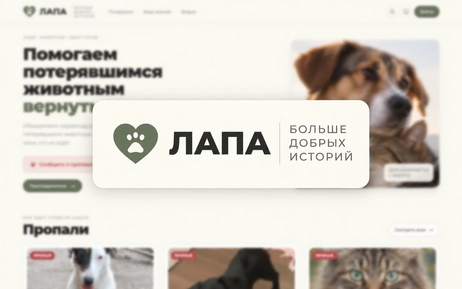 lapa.team — Платформа помощи животным